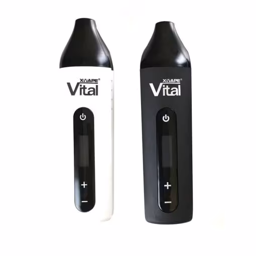 XMax Vital