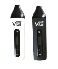 XMax Vital