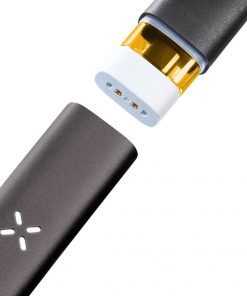Pax Era Life Open