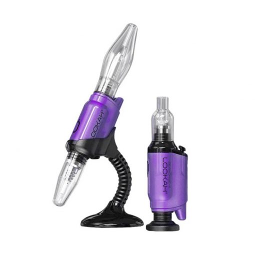 Lookah-Seahorse-X-Purple
