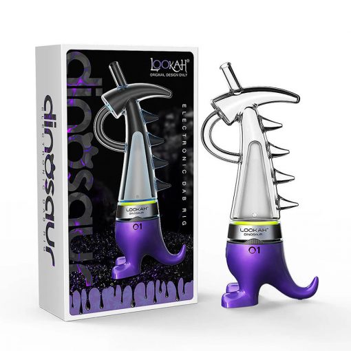 Lookah Dinosaur in Purple