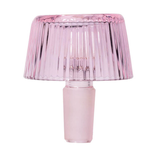 NWTN Home Deco Bowl - PET