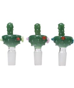 Human Grade Novelty Bowls-Cactus (3)