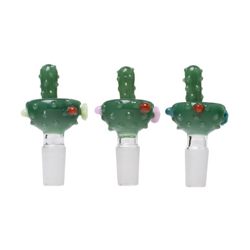 Human Grade Novelty Bowls-Cactus (3)