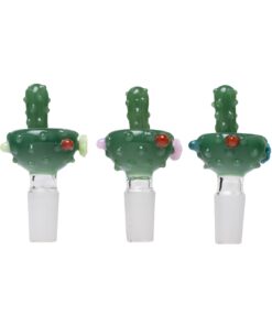 Human Grade Novelty Bowls-Cactus (3)