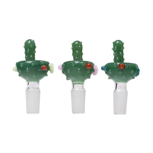 Human Grade Novelty Bowls-Cactus (3)