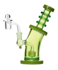 Human Grade 8