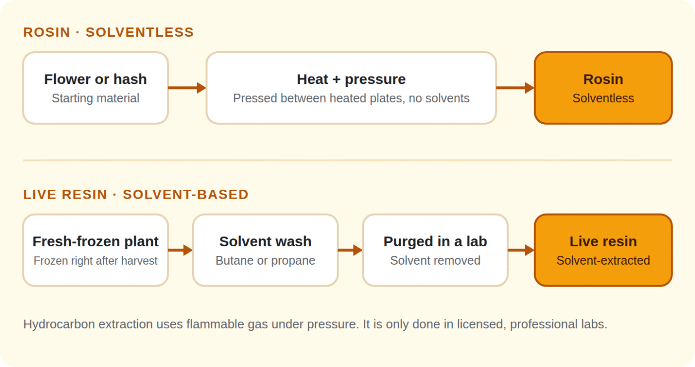 Rosin vs resin diagram showing how each concentrate is made